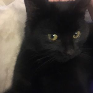 Meet your Posher, Jane